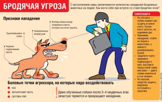 Как избежать нападение собак Как избежать нападение собак.